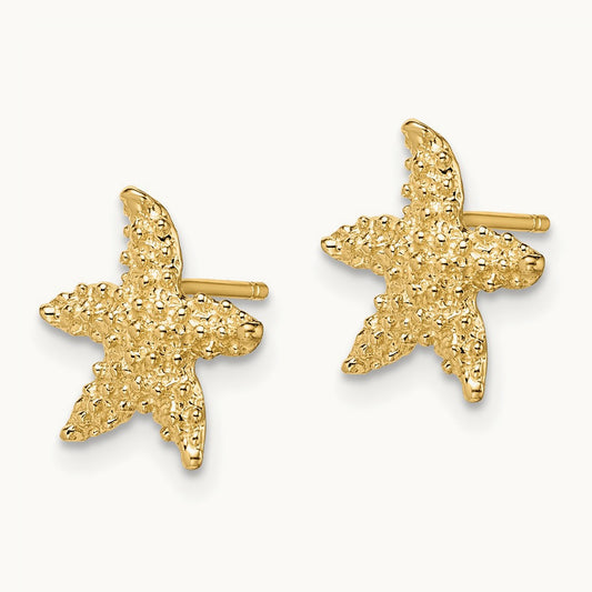 Textured Starfish Post Earrings, 14K