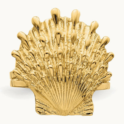 Lion's Paw Shell Ring, 14K