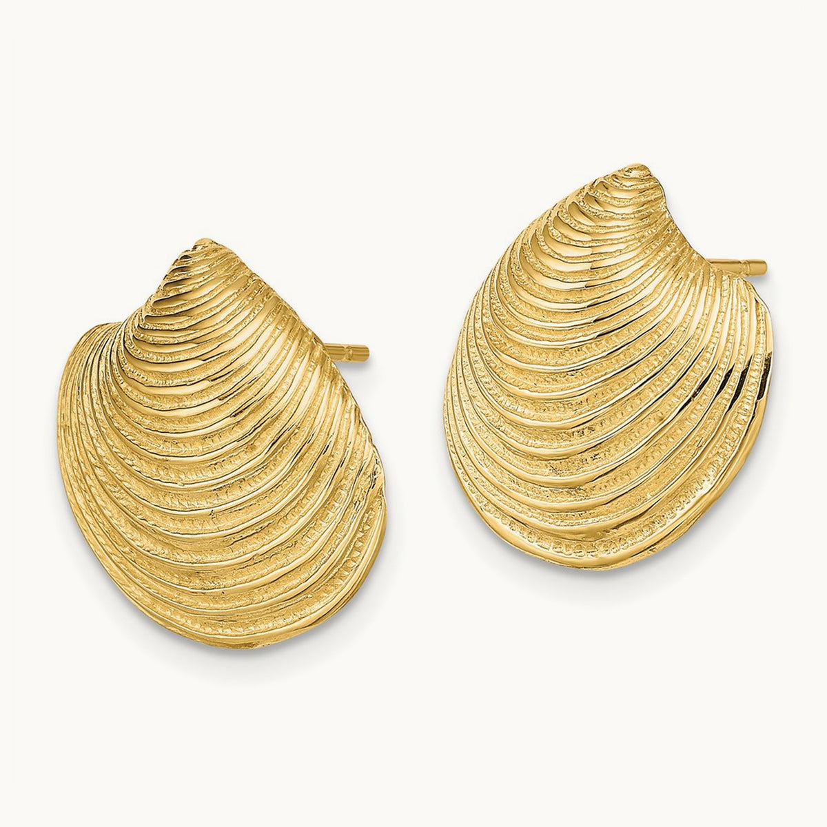 2-D Textured and Polished Clam Shell Post Earrings, 14K