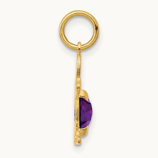 Boy 6x4 Oval Genuine Amethyst-February — 14K Yellow Gold