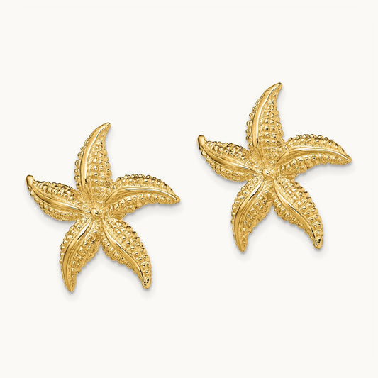 2-D Polished and Textured Starfish Post Earrings, 14K