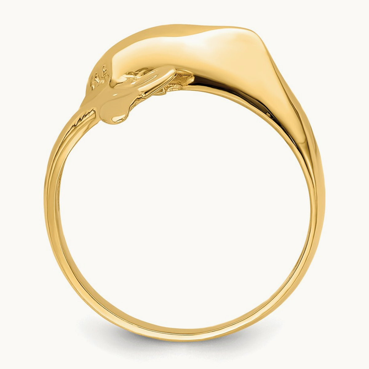Polished Dolphin Ring — photo set