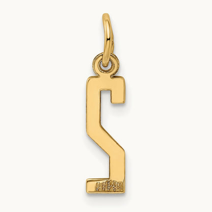 Small Elongated Number 2 Charm, 14K
