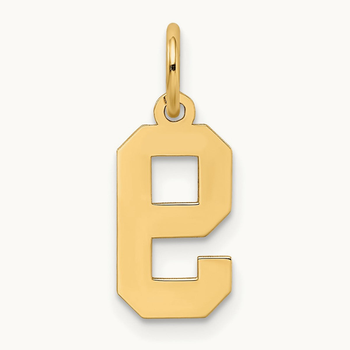 Small Satin Number 9 Charm — 14K Yellow Gold