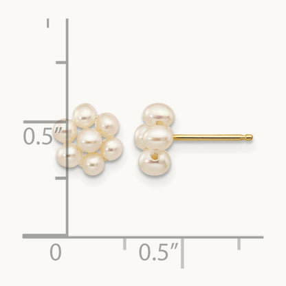 2- White Egg Freshwater Cultured Pearl Flower Earrings, 3mm, 14K