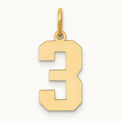Medium Polished Number 3 Charm — 14K Yellow Gold