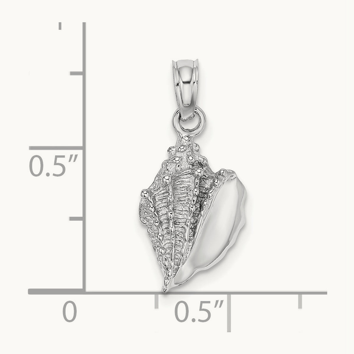 Conch Shell Charm — photo set