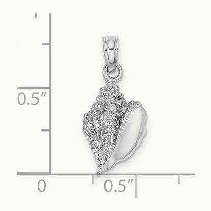 Conch Shell Charm — photo set