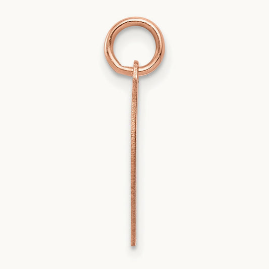Heart Disc Charm, 14K Rose Gold