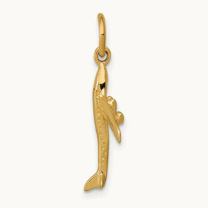 3D Jet Charm, 14K