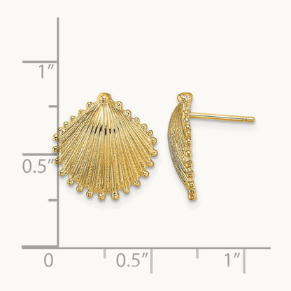 Scallop Shell Post Earrings, 14K