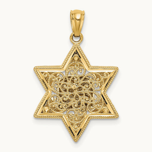 Star of David Reversible Pendant, 14K Two-tone