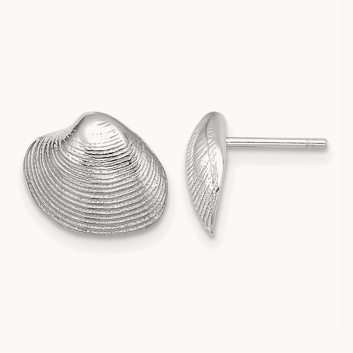 Clam Shell Post Earrings — 14K White Gold, 9mm