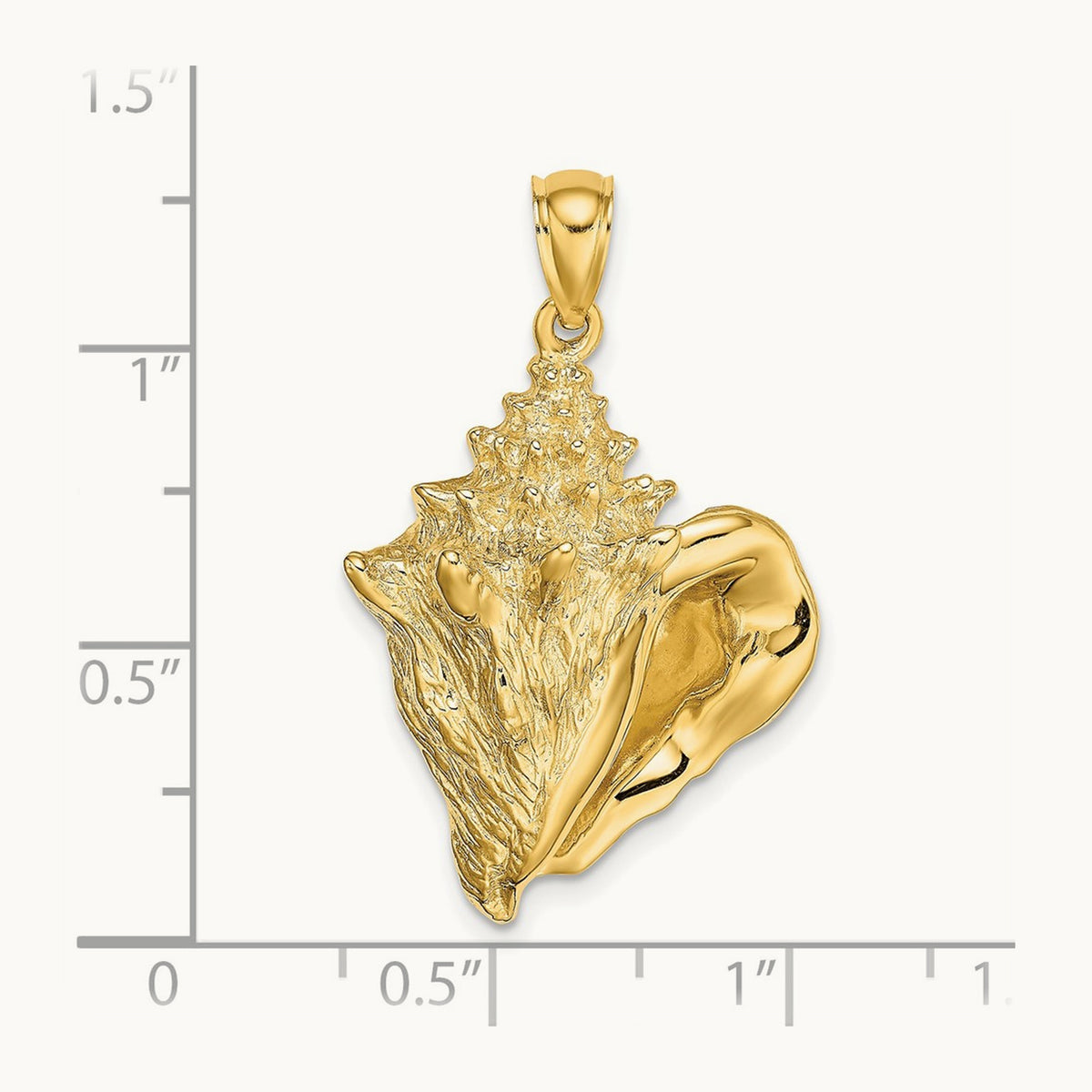 Conch Shell Charm — 31mm