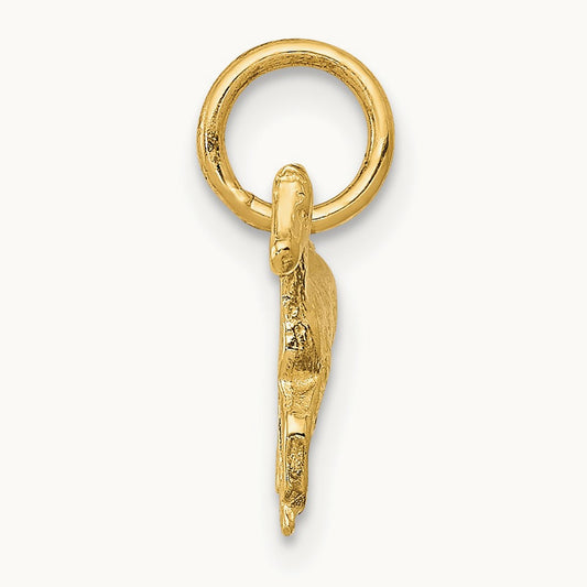 Polished Horse Charm — photo set