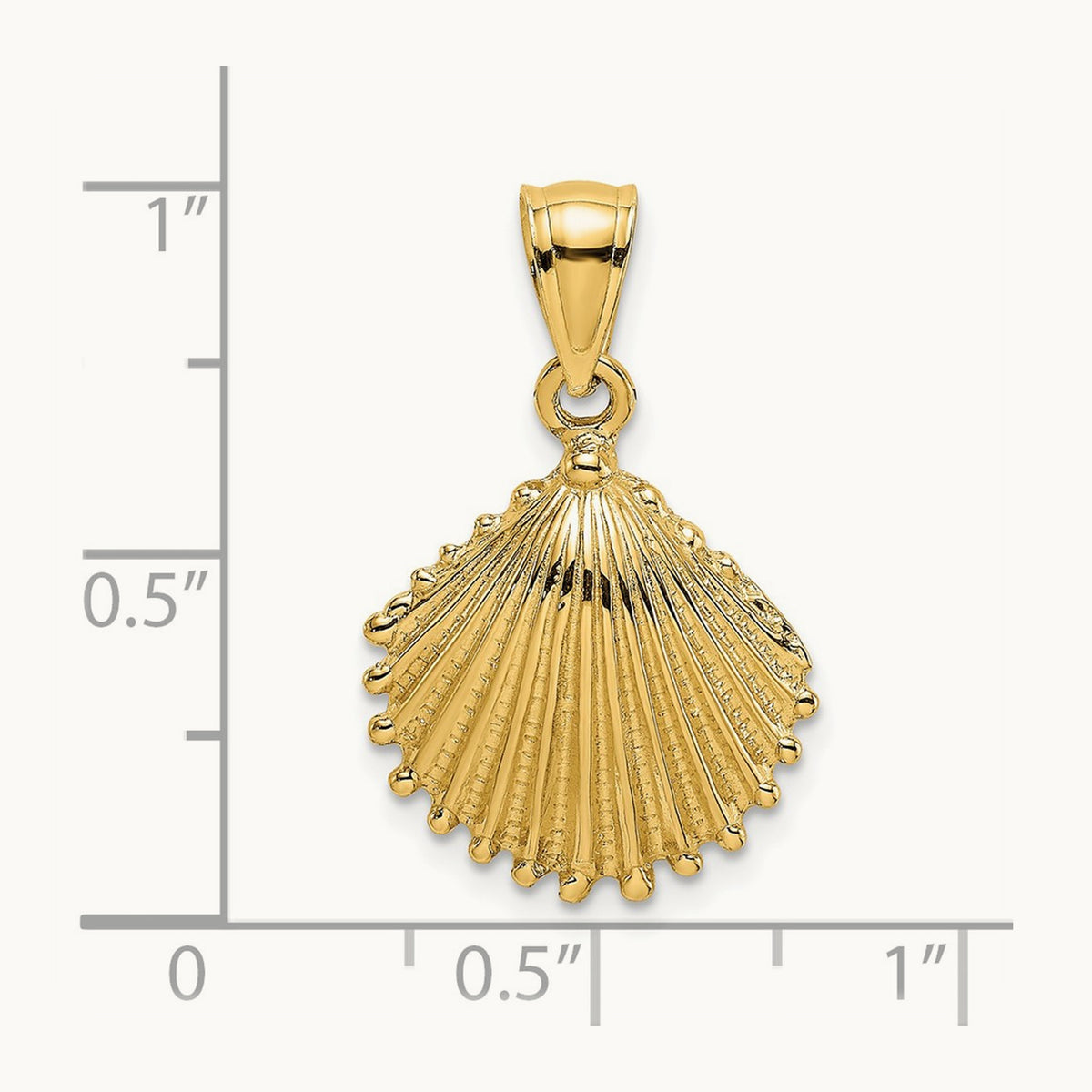 Textured Scallop Shell Charm — 14K Yellow Gold