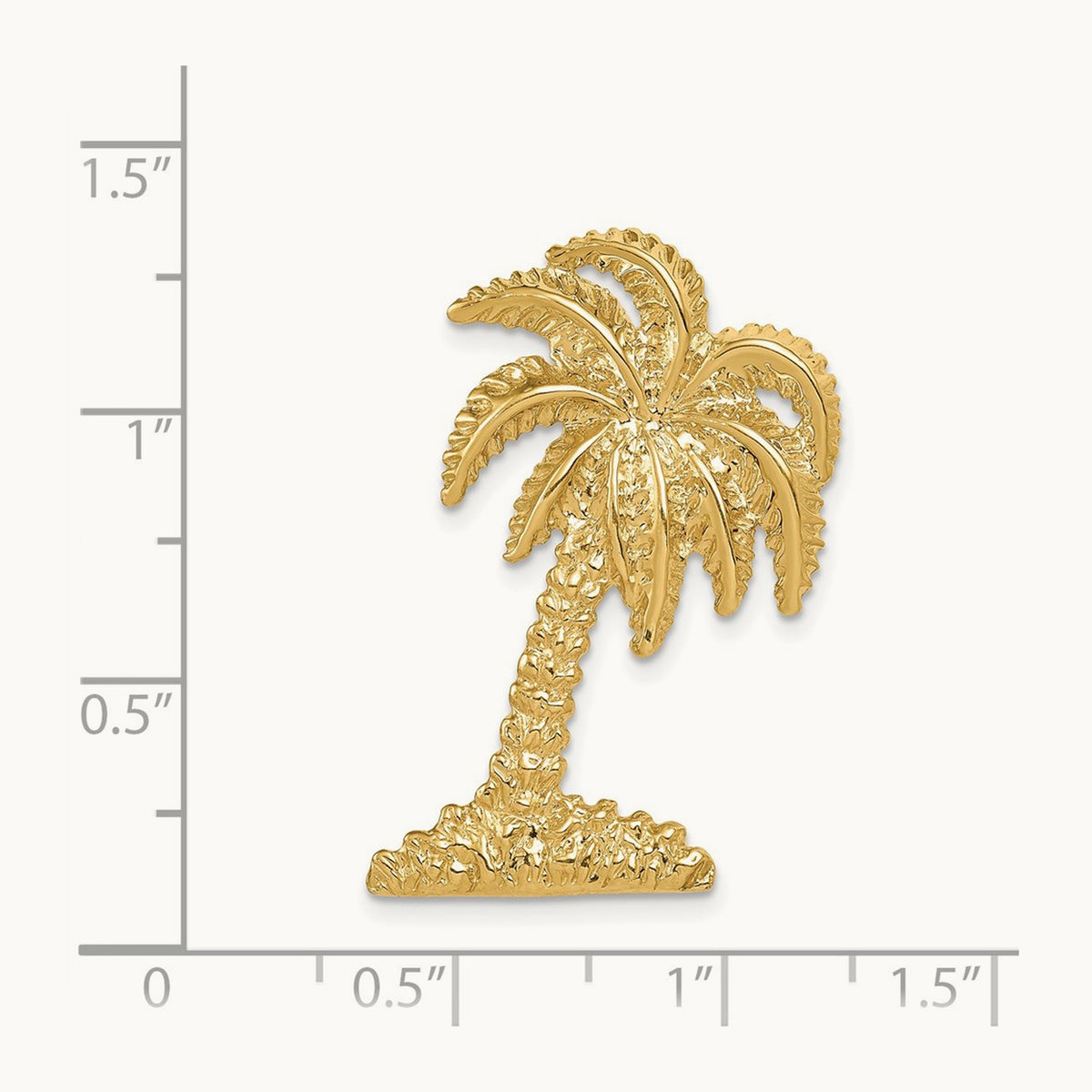 Palm Tree Slide — photo set