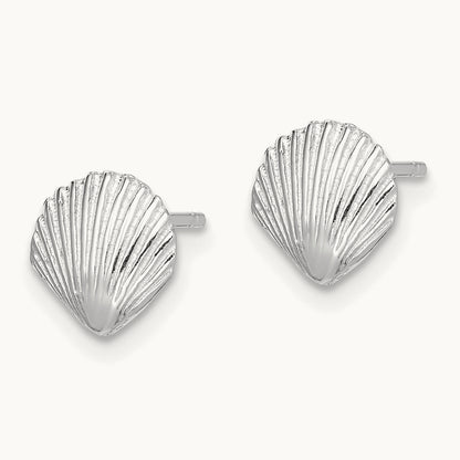 Scallop Shell Post Earrings — 14K White Gold, 7.8mm