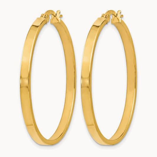 Polished Earrings, 14K — Leslie's