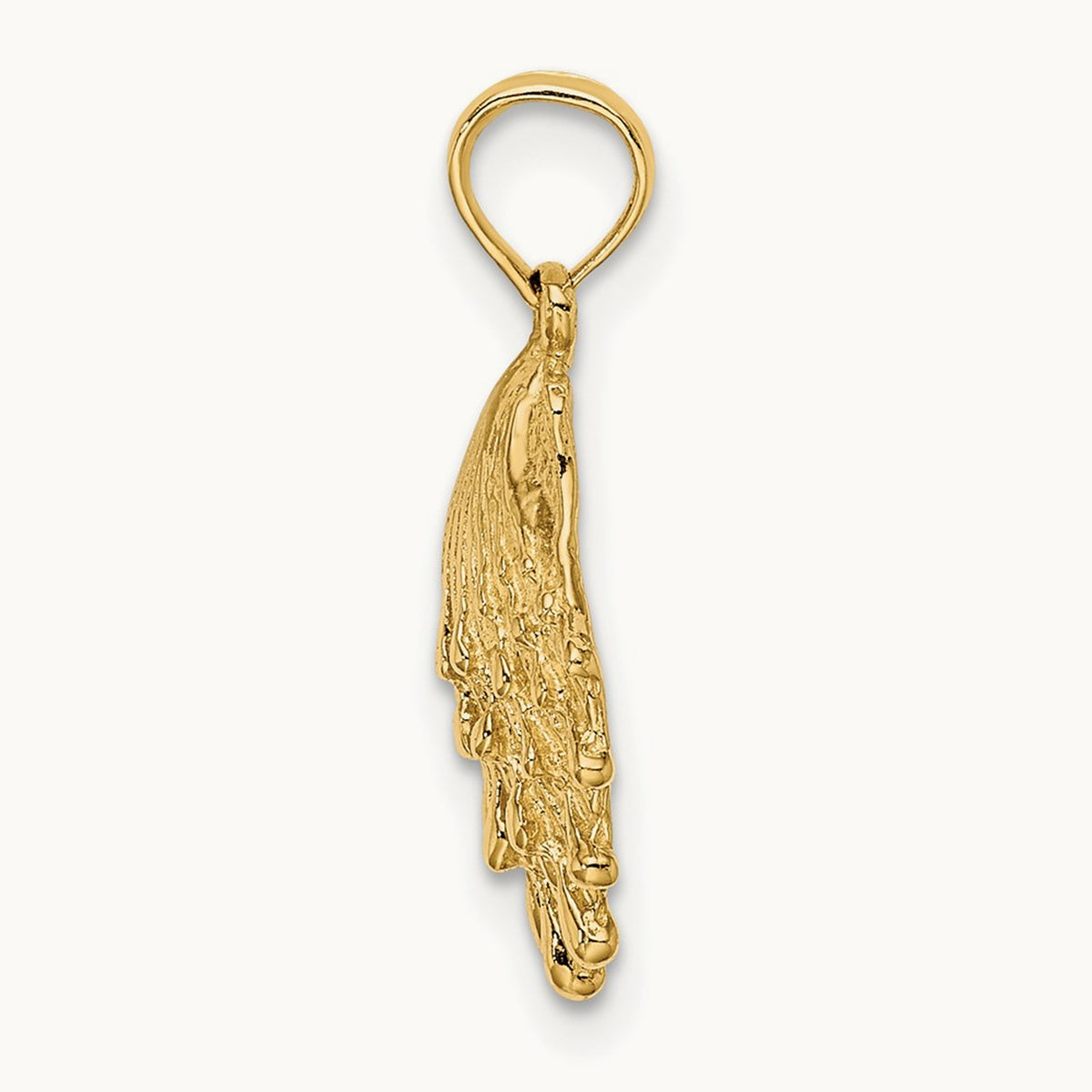 Lion's Paw Shell Charm, 14K