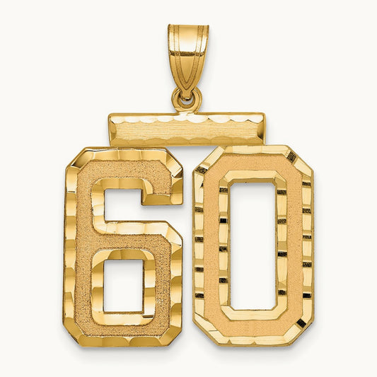Large Brushed Diamond-cut Number 60 Charm, 14K