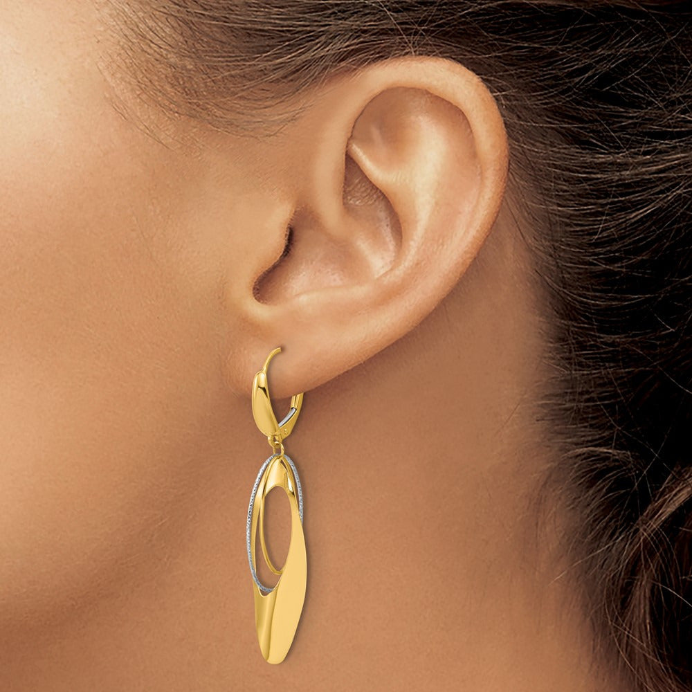 Polished / Dia-cut Dangle Leverback Earrings — Leslie's — photo set