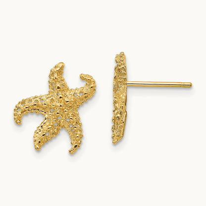 Starfish Earrings, 14K