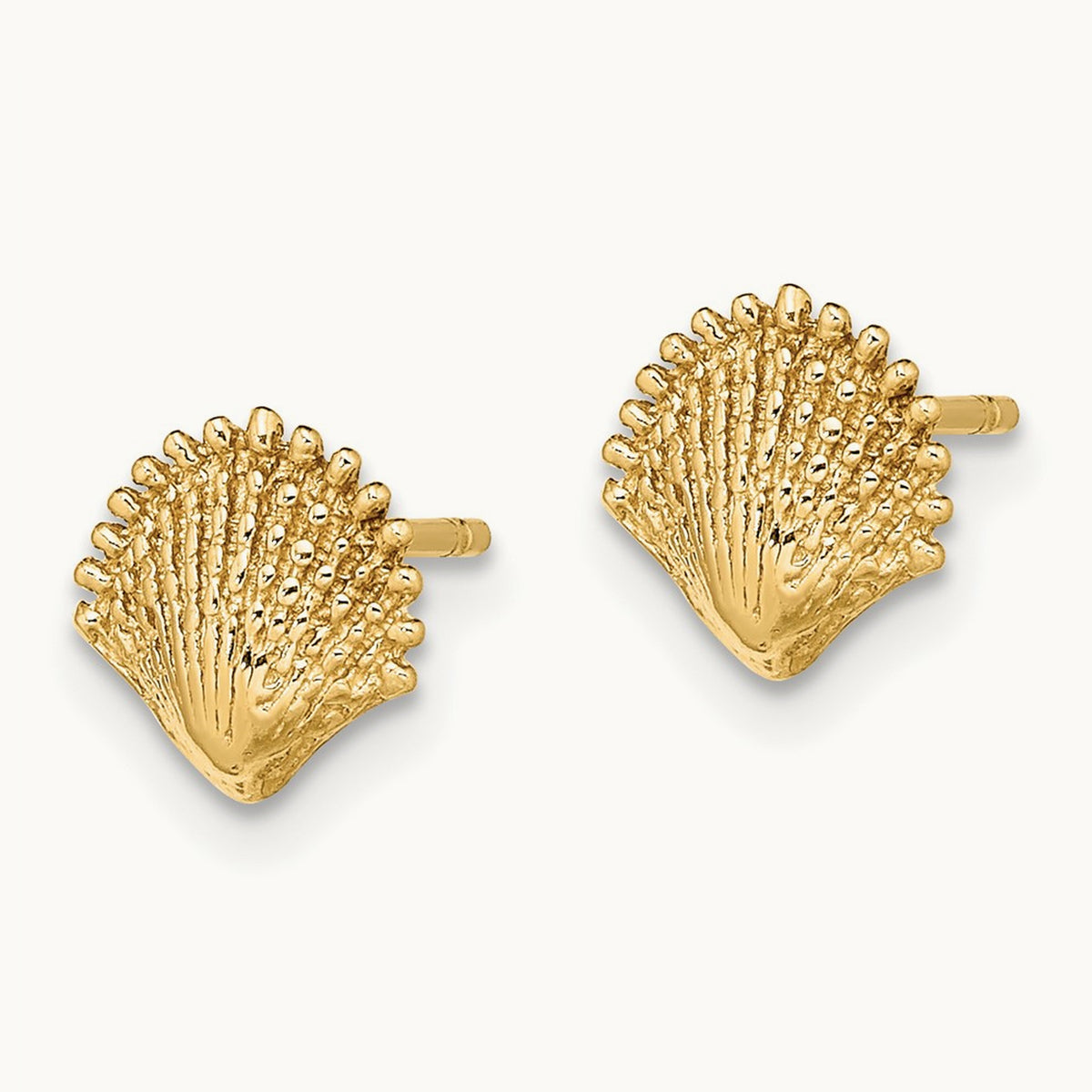 Scallop Shell Post Earrings, 14K