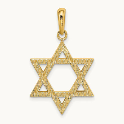 Star of David Pendant, 14K