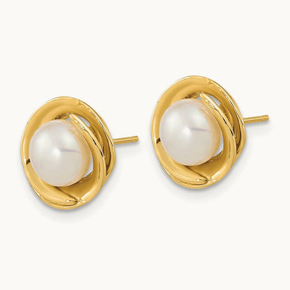 6- White Button Freshwater Cultured Pearl Post Earrings, 7mm, 14K