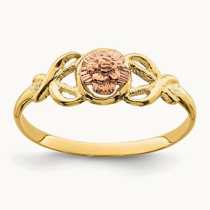 Polished Ring, 14K Two-tone