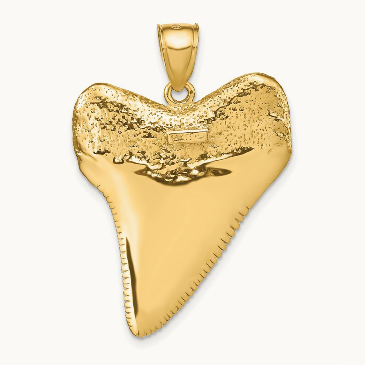 Solid Polished 3-D Shark Tooth Pendant — photo set