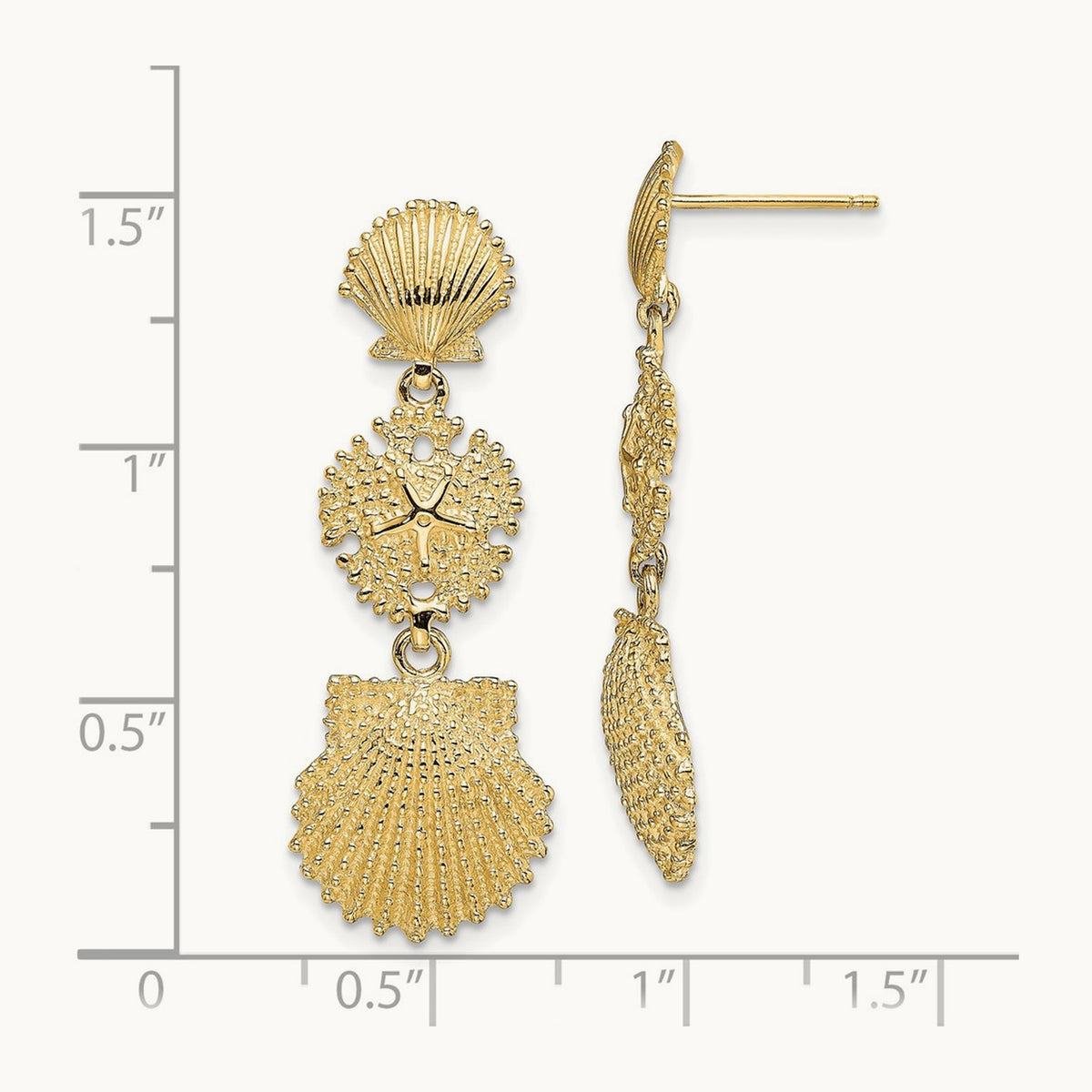Scallop, Sand Dollar,,Scallop Dangle Earrings, 14K