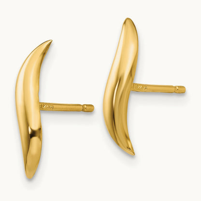 Polished Fancy Post Earrings, 14K