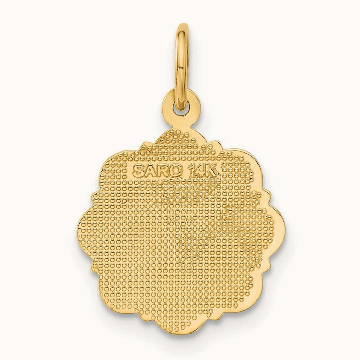 RN Registered Nurse Disc Charm, 14K