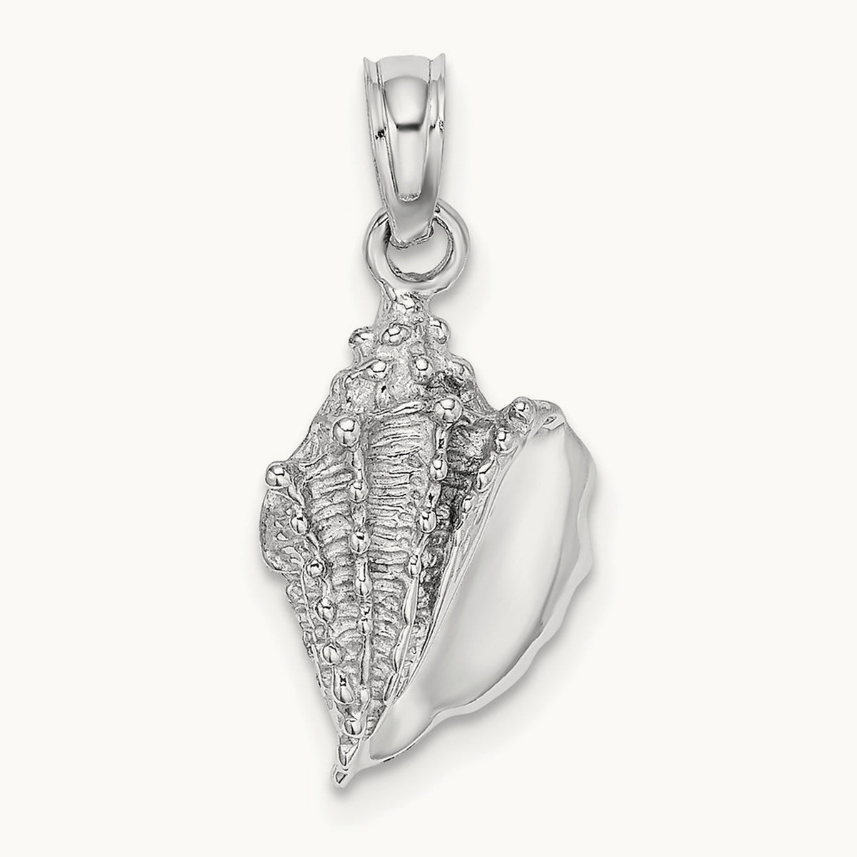 Conch Shell Charm — photo set