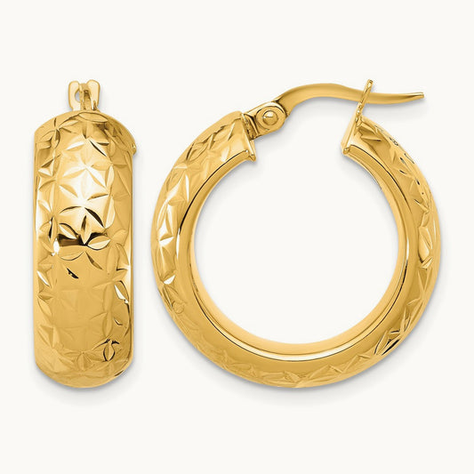 Polished and D/C Half Round Circle Hoop Earrings — Leslie's — photo set