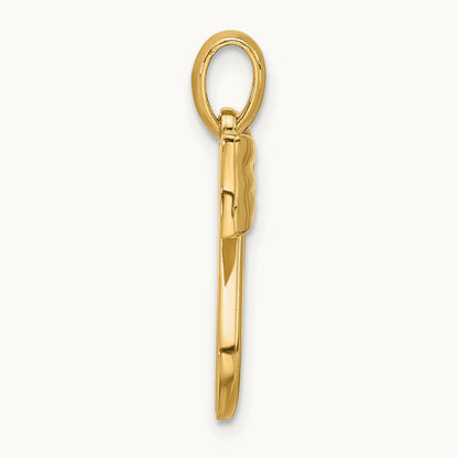 Fancy Full Hair Bow, 14K
