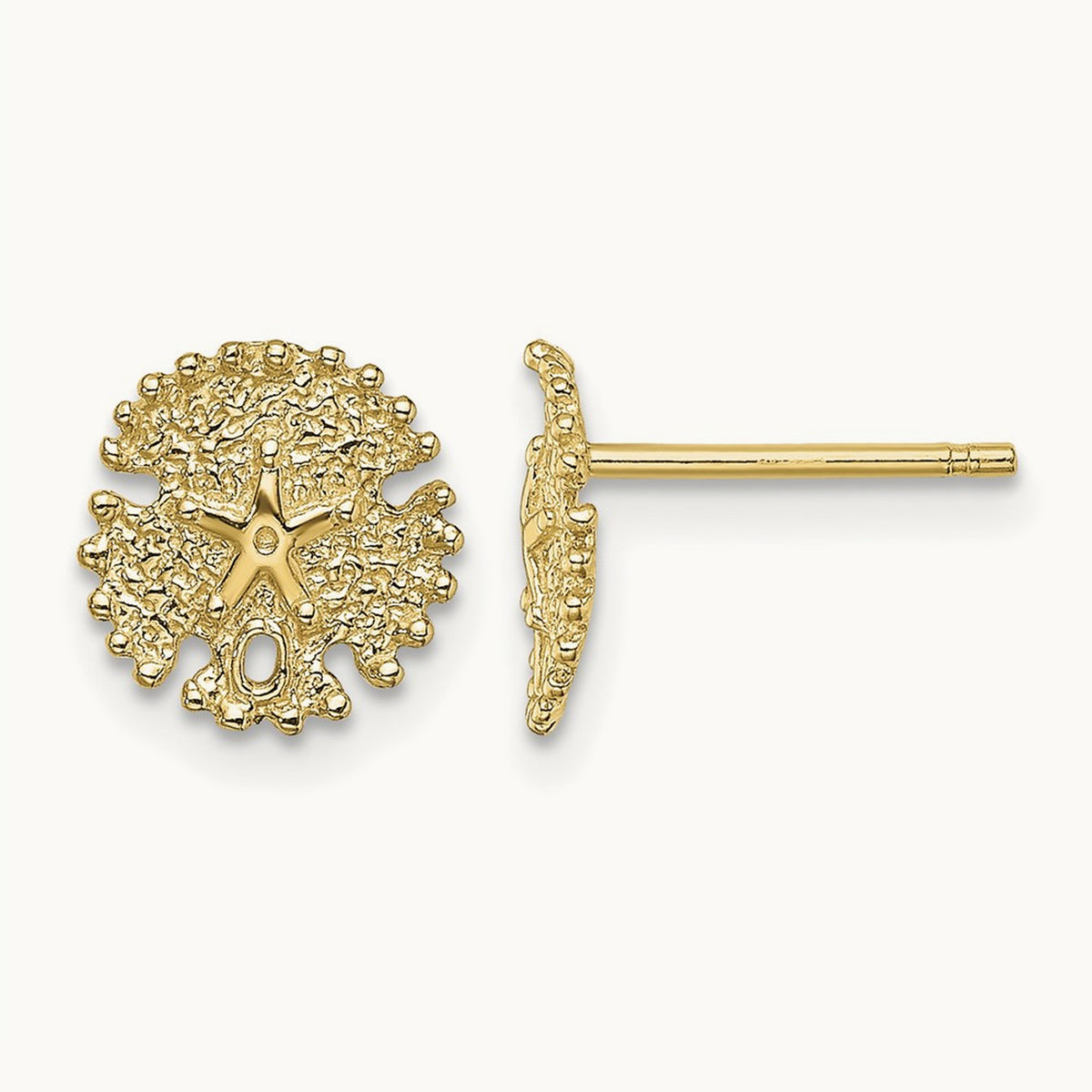 Textured Sand Dollar Post Earrings — 8.4mm
