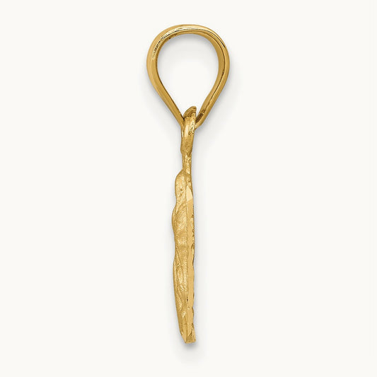 Satin & D/C Our Lady of Guadalupe Pendant, 14K