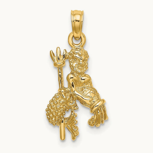 3-D Aquarius Zodiac Charm, 14K