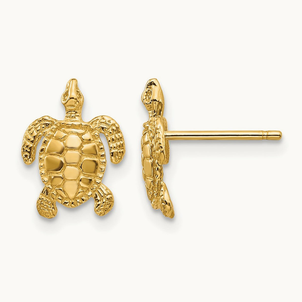 Sea Turtle Post Earrings — photo set