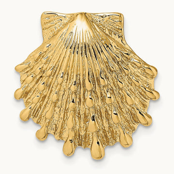 Small Lion's Paw Shell Slide, 14K