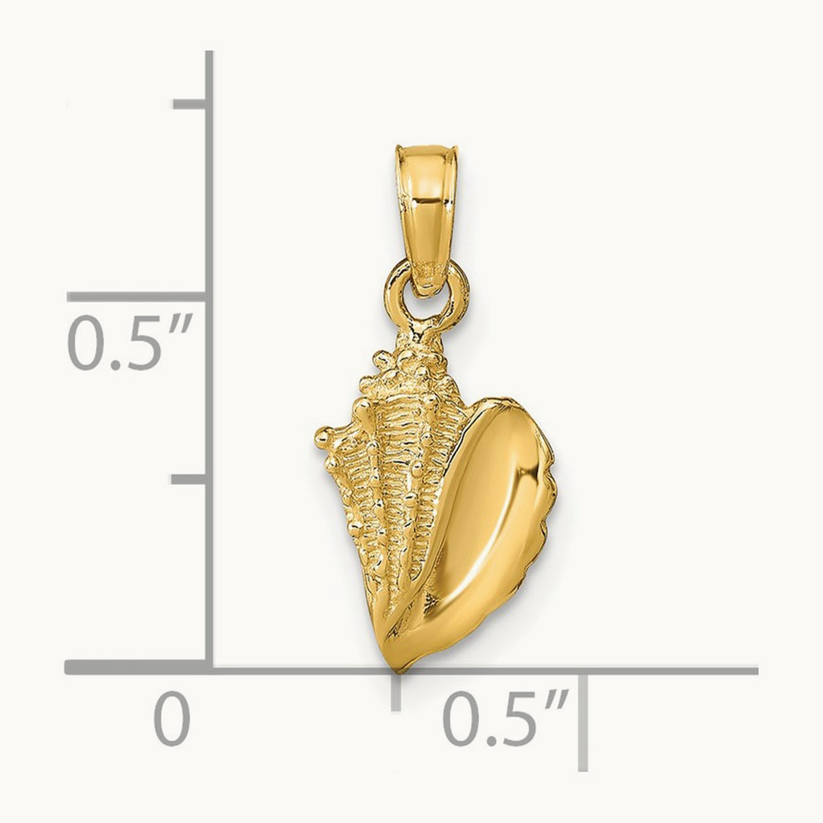 Conch Shell Pendant — photo set