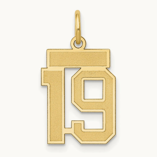Small Satin Number 19 Charm, 14K