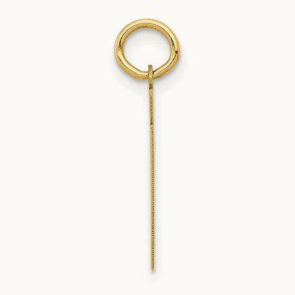 Small Polished Number 61 Charm, 14K