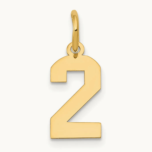 Small Polished Number 2 Charm — 14K Yellow Gold