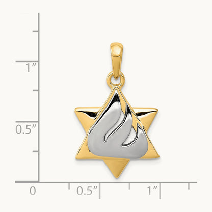 Star of David Pendant, 14K Two-tone