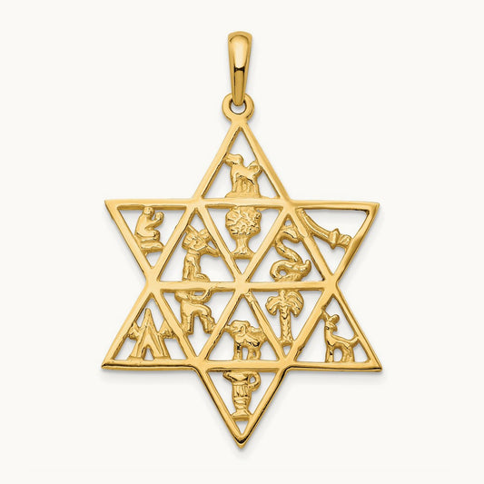 Star Of David 12 Tribes Pendant, 14K