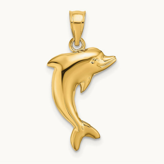 Polished Dolphin Charm — photo set